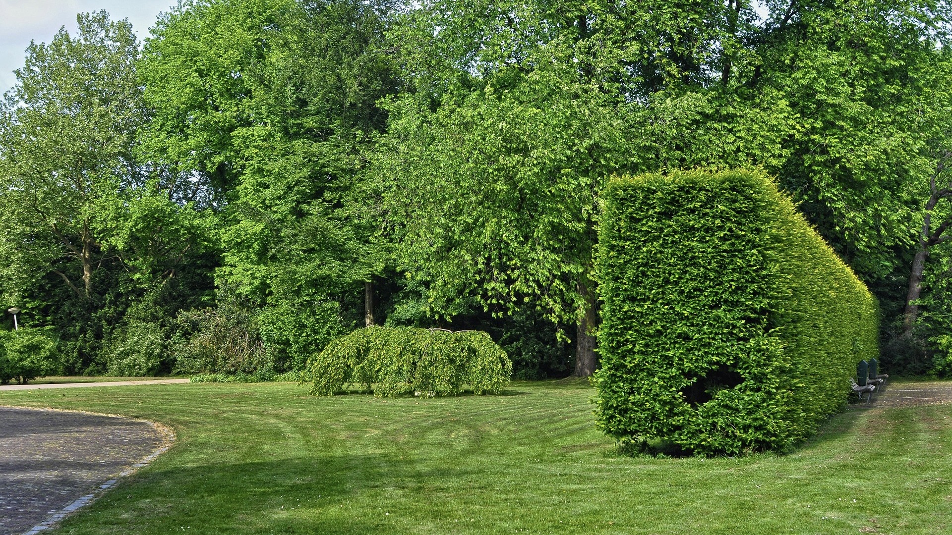 Espace vert - Jardinage